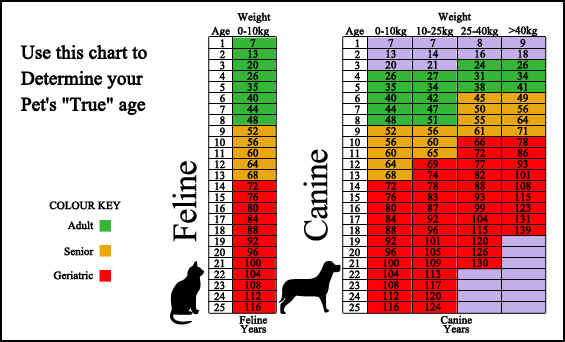 age chart age chart
