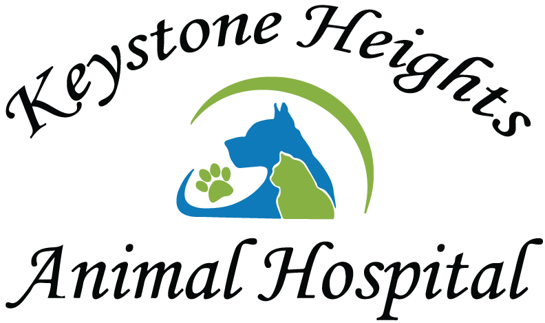 Keystone Heights Animal Hospital Logo | Navigate to: Home