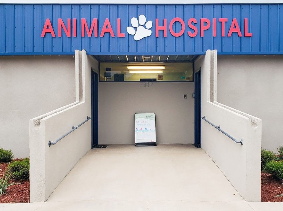 Keystone Heights Animal Hospital - Photo of Entrance
